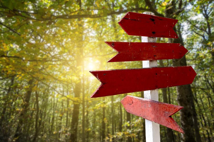 How Finding a Spiritual Director Changed My Life