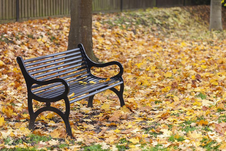 Keeping the Faith After Loss: Catholic Resources for Those Affected by Suicide