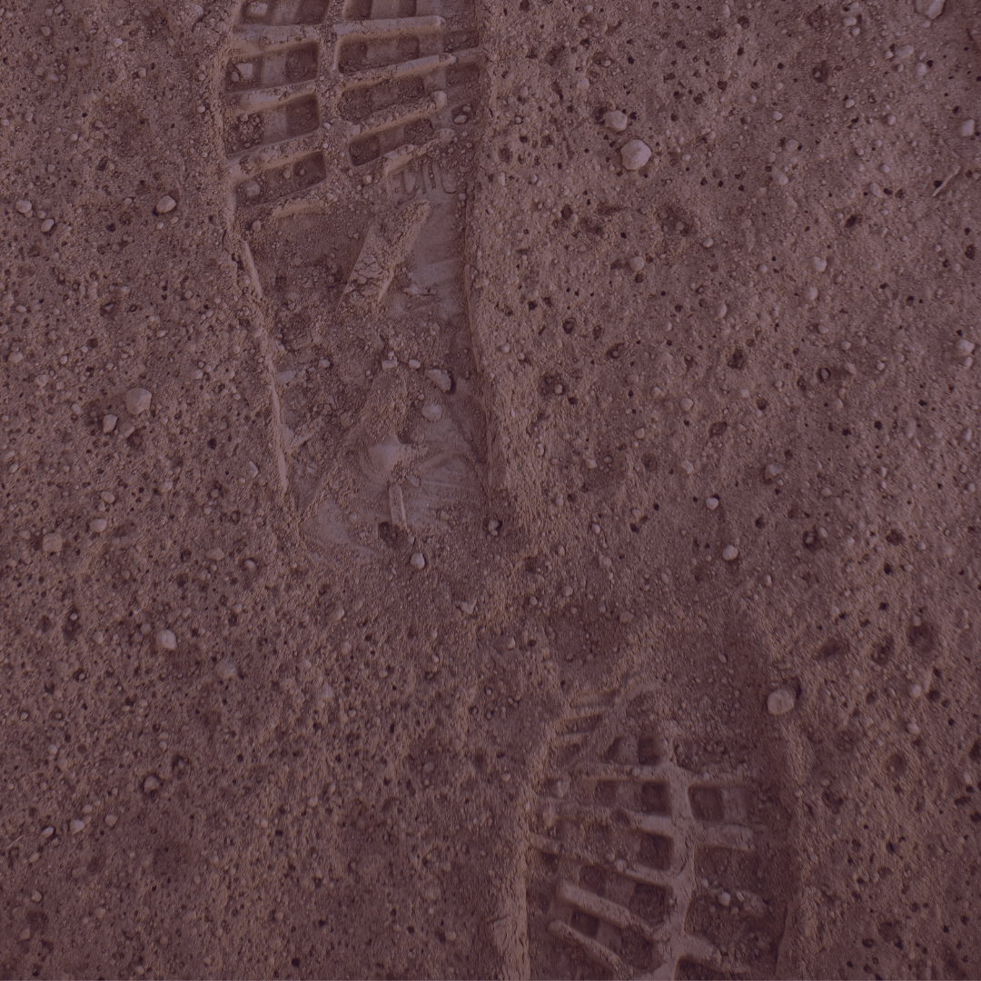 2024 InstaLent Photo Challenge