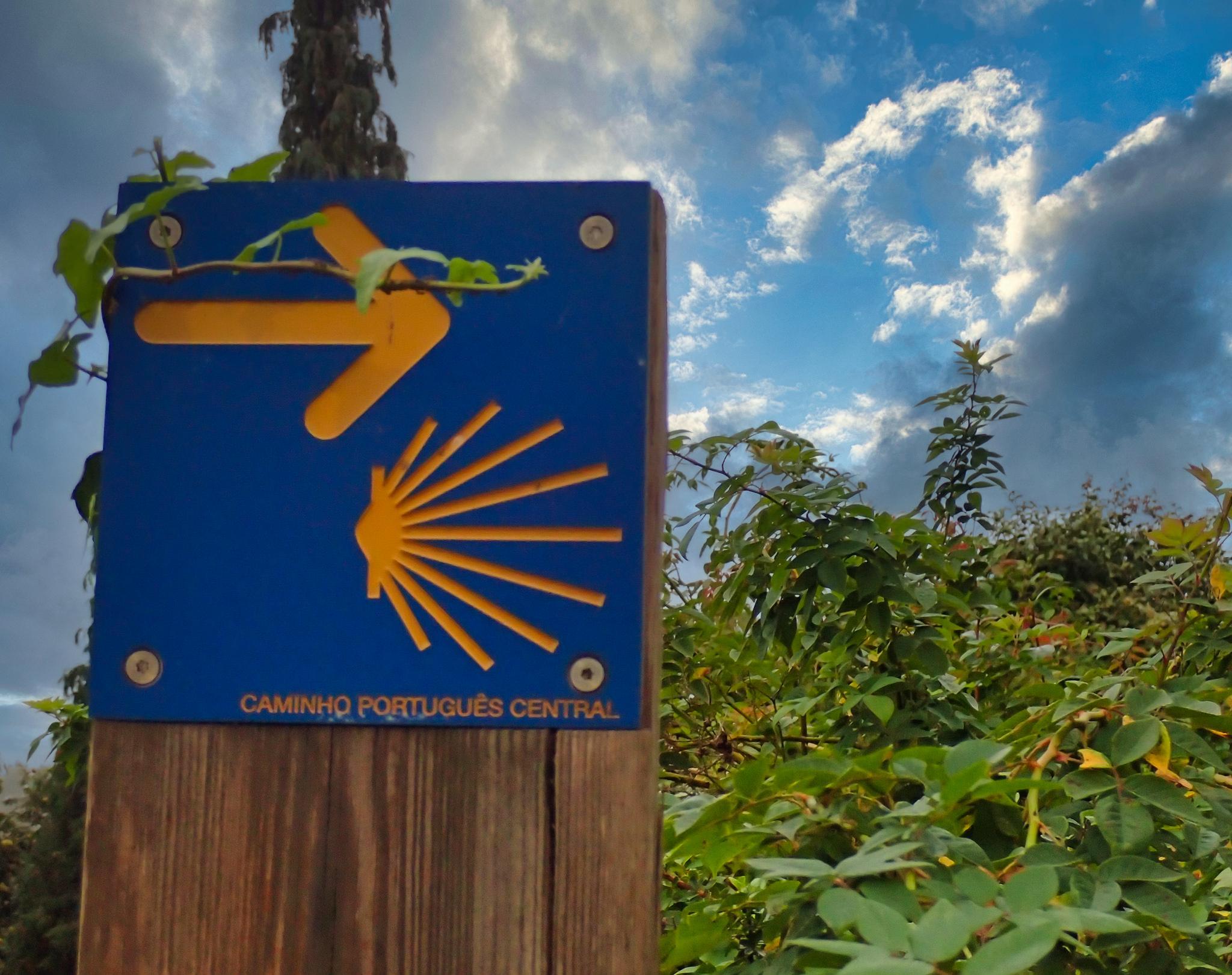 The Camino de Santiago: The Gift That Keeps on Giving